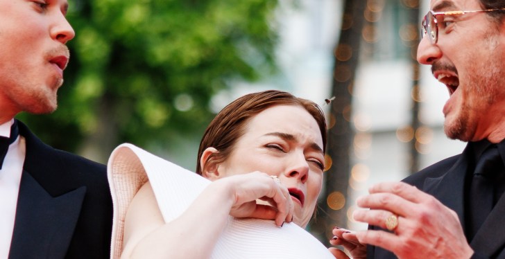 Emma Stone Getting Attacked By A Bee May Go Down As The Greatest Red Carpet Photo Ever