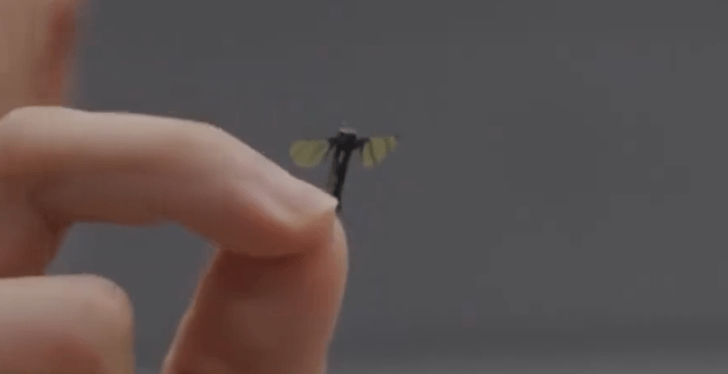 Big Brother Is Now Tiny Brother As The Chinese Reveal An Undetectable Mosquito Sized Surveillance Drone
