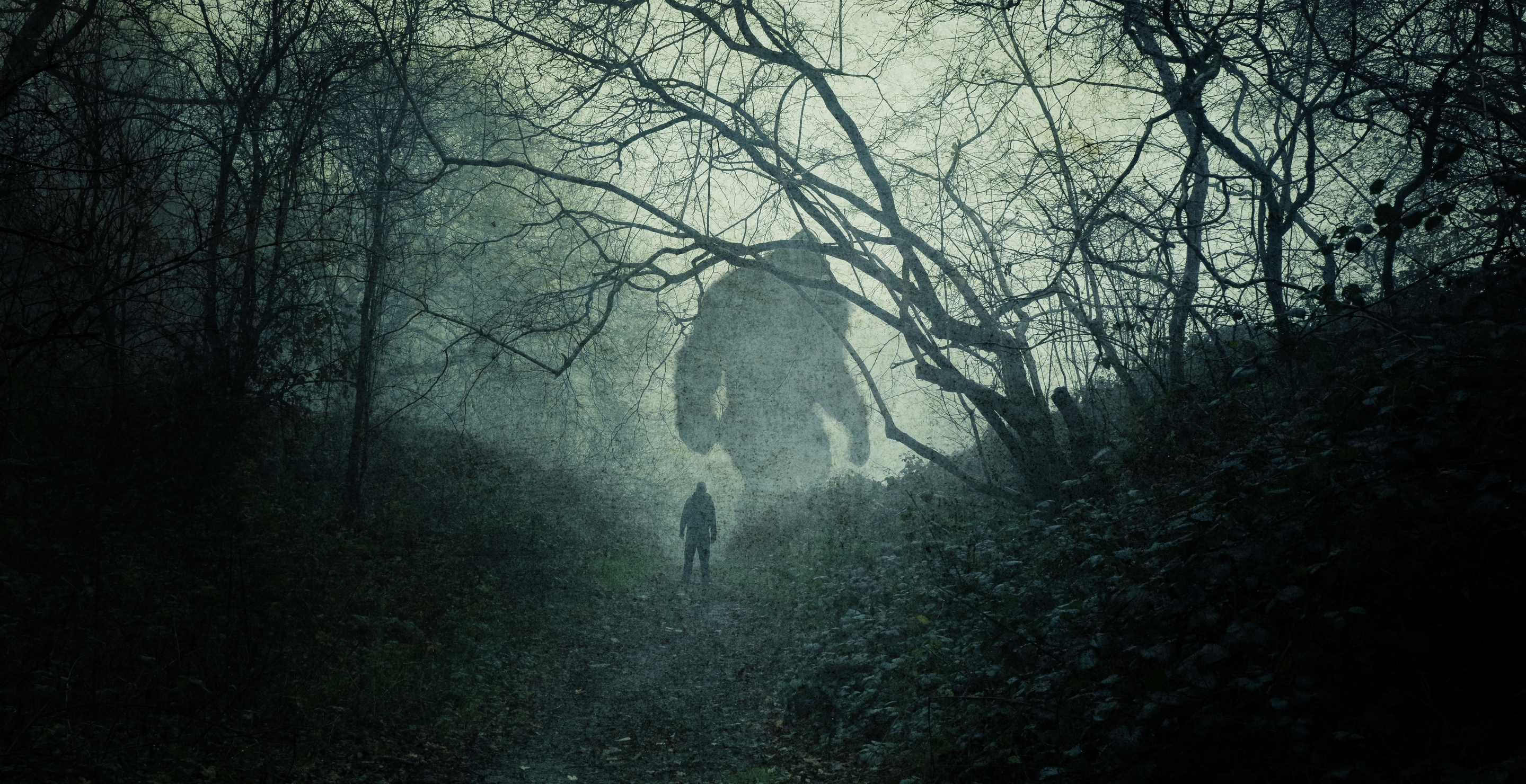 Weed Dispensary Really Wants Photographic Proof Bigfoot Exists