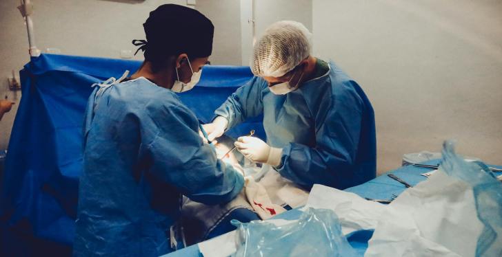 Organ Donors Lives Endangered Thanks To Rushed Procedures, According To Investigation