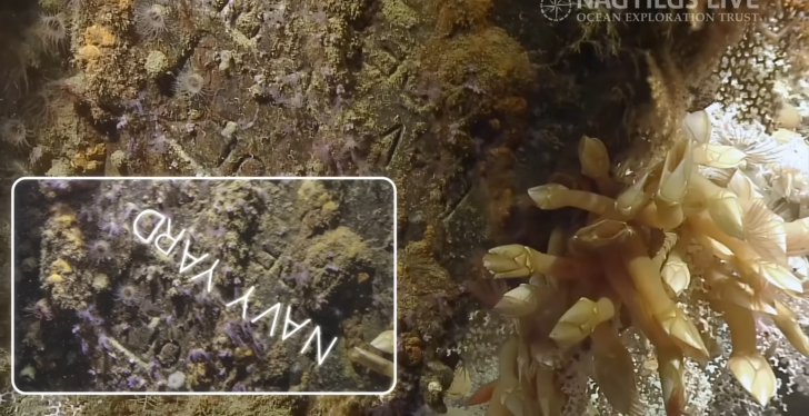 Long Lost Part Of WWII Ship Found After 80 Plus Years