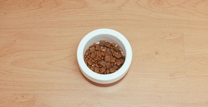 Aunt Accidentally Eats Dog Food, Sparking Family Fight