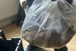 Giant Rat Size Of A Cat Found In People's Apartment