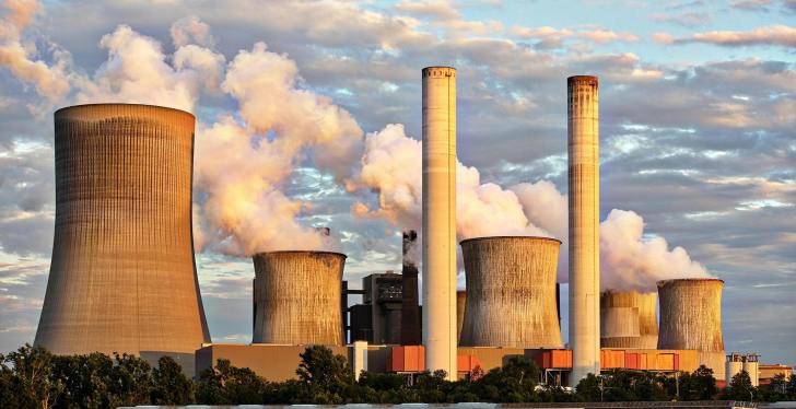 Jellyfish Zap The Power Out Of A Nuclear Power Plant