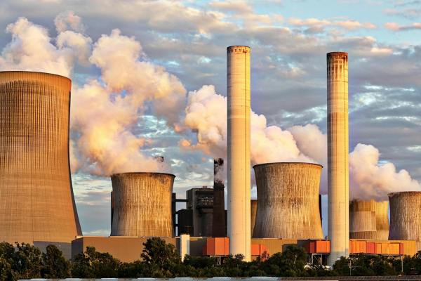 Jellyfish Zap The Power Out Of A Nuclear Power Plant
