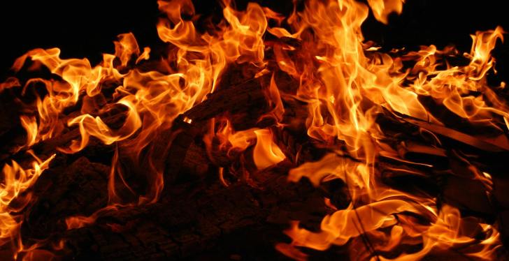 Tree Catches Fire At Popular Theme Park