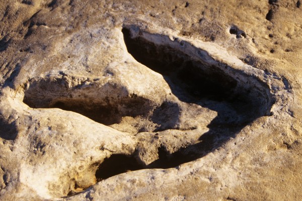 Volunteers Clearing Debris Find Dinosaur Footprints In Texas
